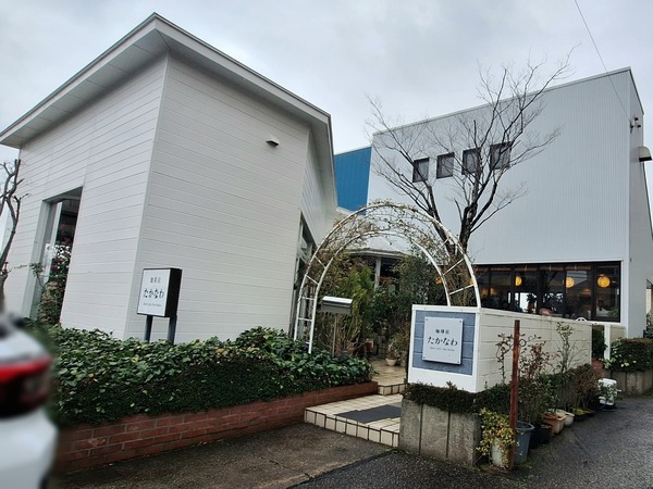 Point Blur_20240326_133053