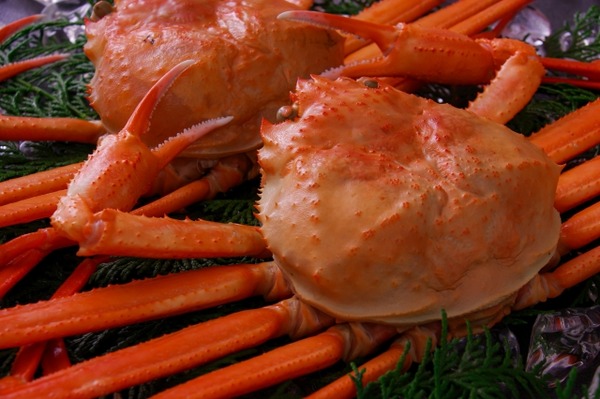 北陸富山のかに祭り5