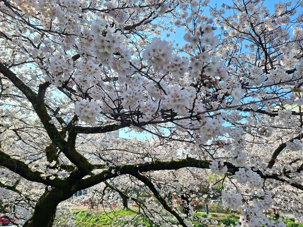人気記事まとめ4月3