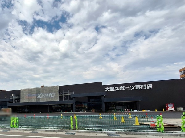 ゼビオ6