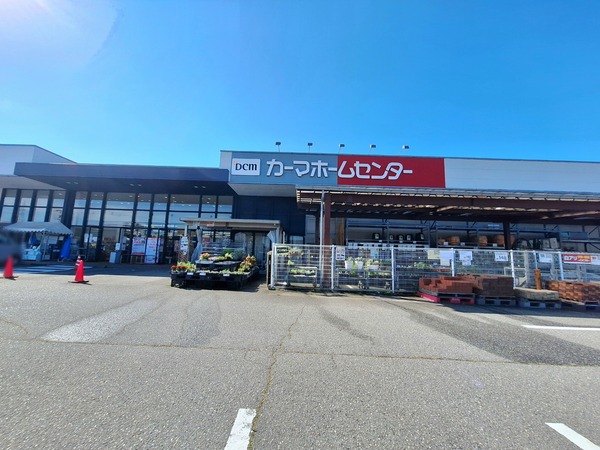 DCM1
