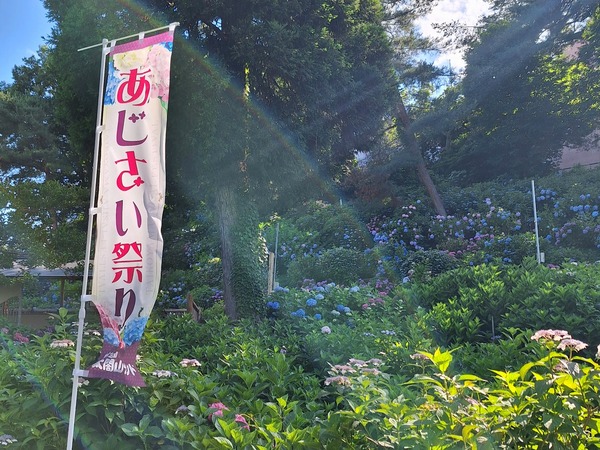 まとめ6月1
