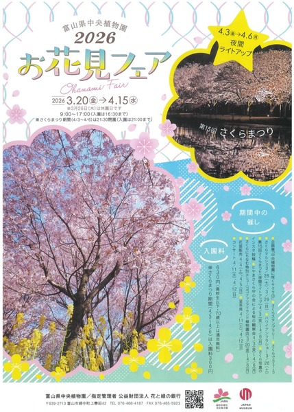 お花見フェア2