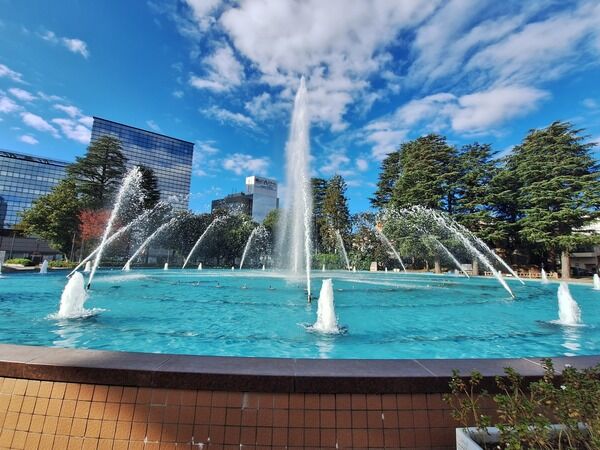 とやままとめ30日
