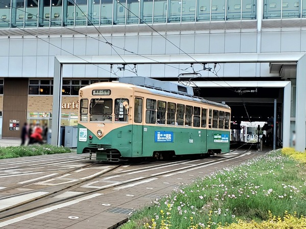 Point Blur_20230803_095636