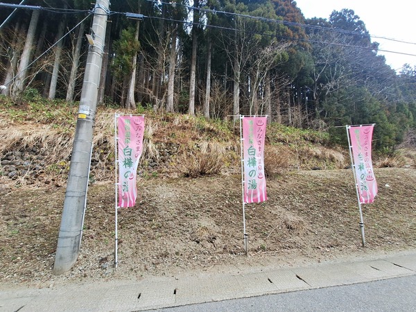 白樺の湯2