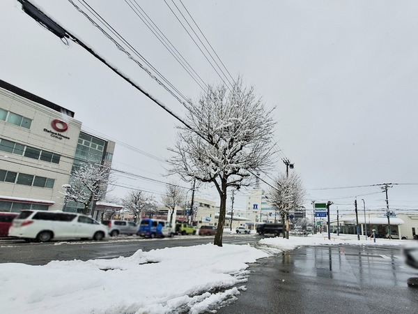 ファミリーマート 新根塚町二丁目店3