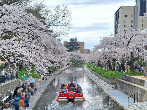 人気記事まとめ4月1