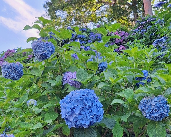 まとめ6月2