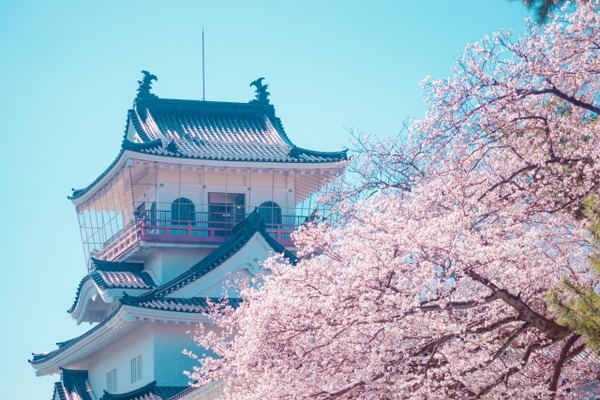 桜開花予想3