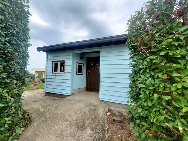 Point Blur_20220810_172033