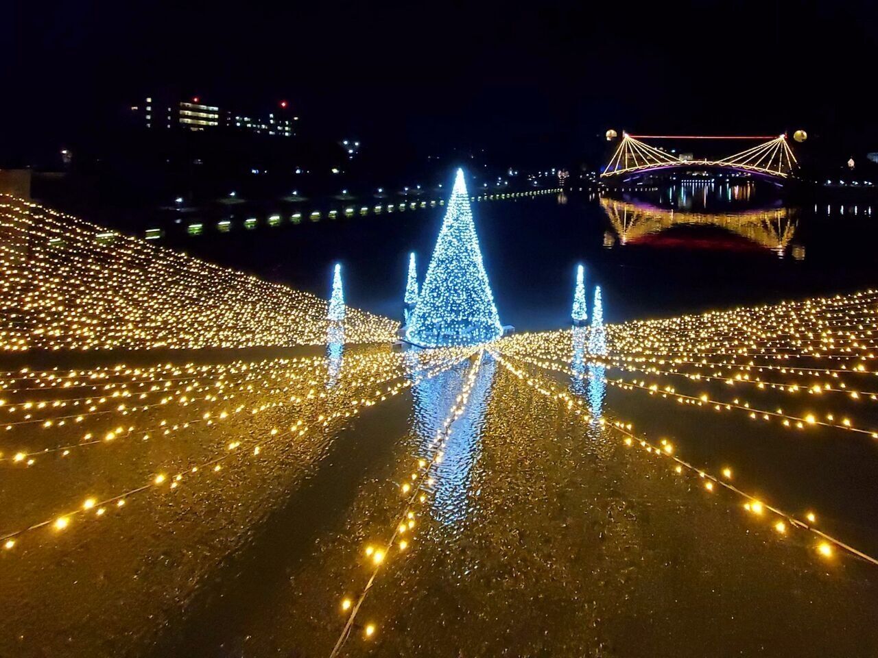 イルミネーション点灯開始！『環水公園スイートイルミネーション2025