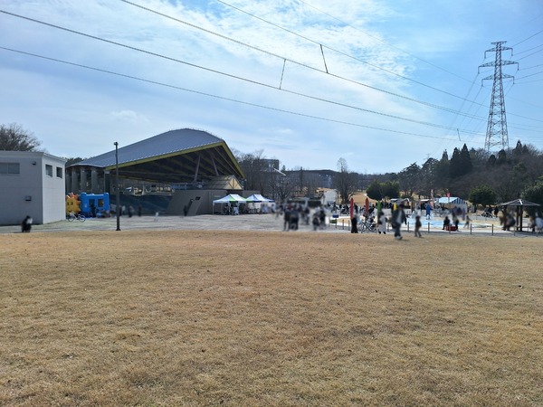 Point Blur_20240425_195728