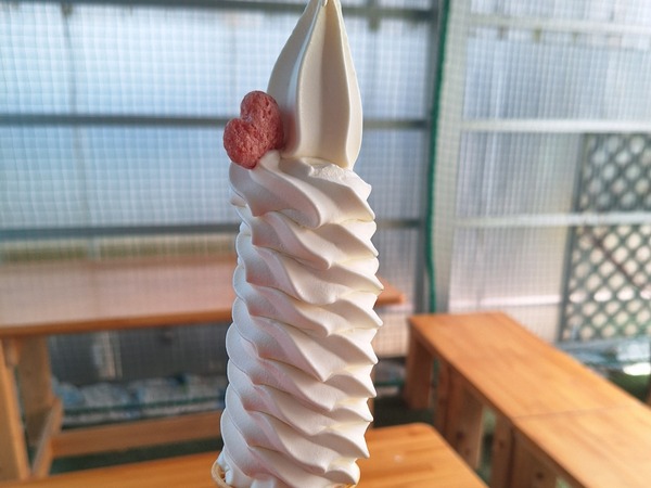 まとめ7月3