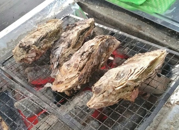 出張カキ小屋4