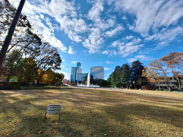 Point Blur_20241125_142903