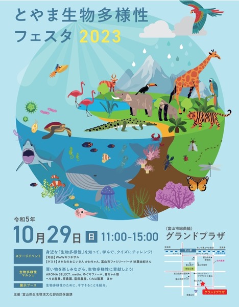 Screenshot_20231025-130648_OneDrive