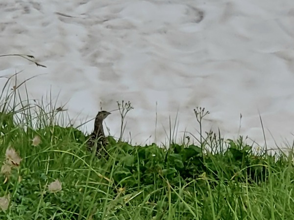 Point Blur_20230522_101831