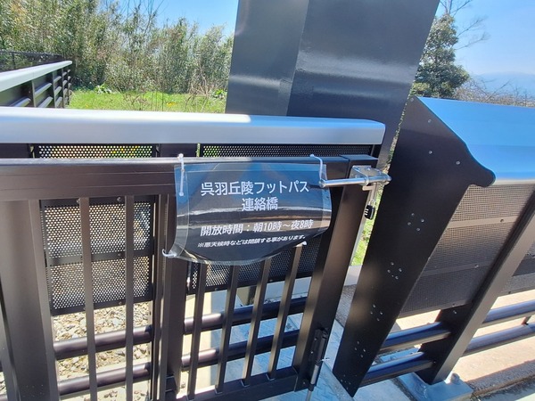 アマンダンピーク11