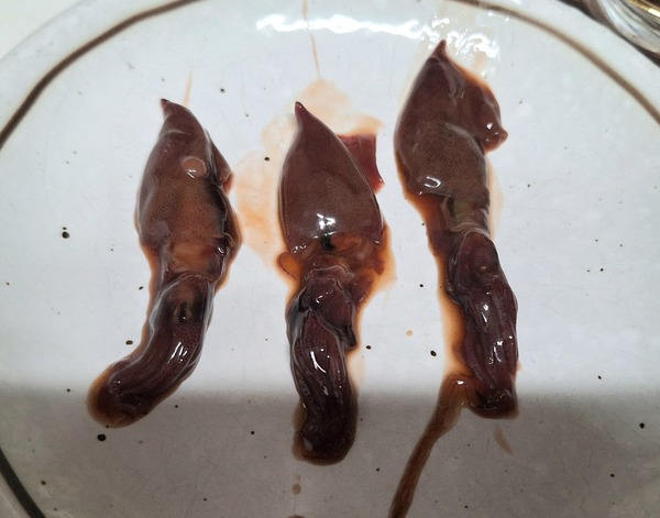 FOOD SHIFTセレクション6