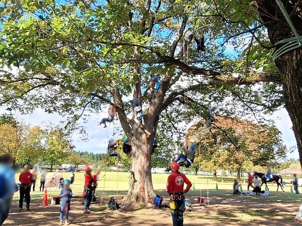 春の太閤山フェスティバル3