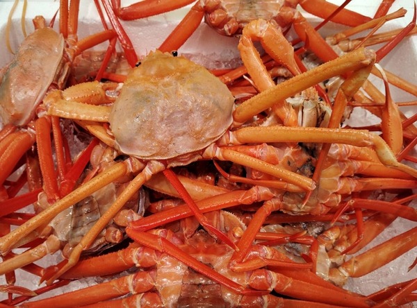 カニとカキの直売所