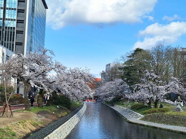 今週末に富山市で開催される『イベント』まとめ。2026年4月11日〜4月12