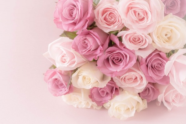 フラワーバレンタイン5