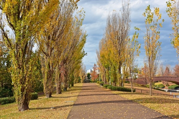 ともだちの輪ン！