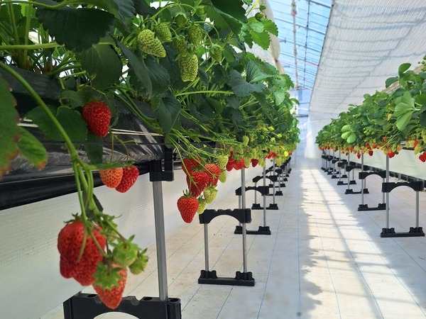 人気記事まとめ3月1