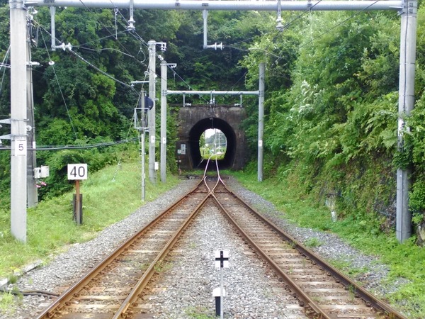 639845_s
