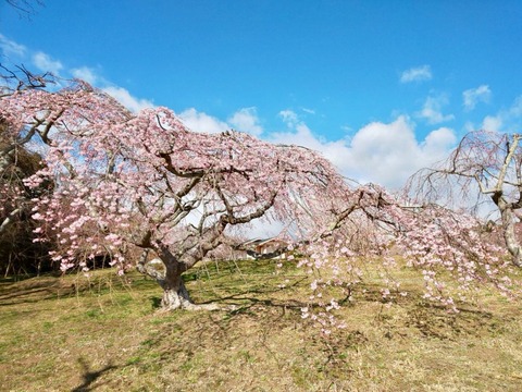 2019-04-10-13-32-37