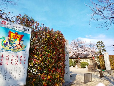 2019-04-10-13-14-46