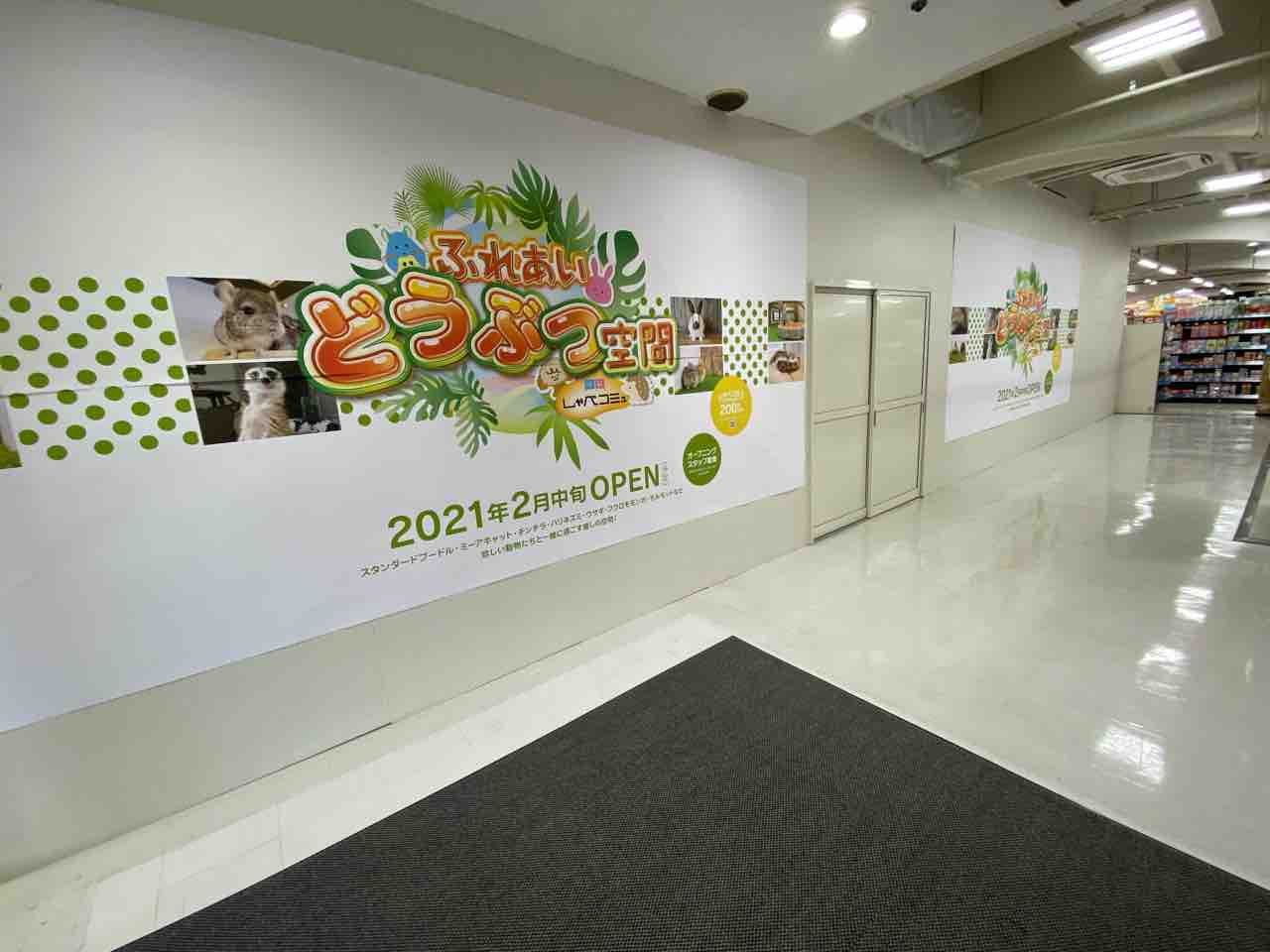 青葉区中央 仙台駅前ebeans 内に ふれあい動物空間 しゃべコミュ なる動物と触れ合えるお店がオープンするらしい 仙台プレス 宮城県仙台 市の地域情報サイト