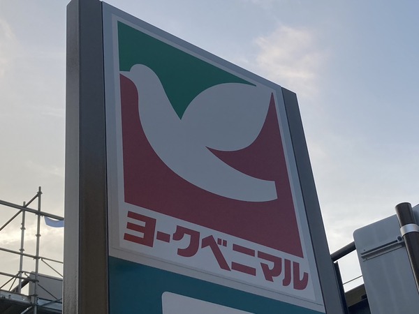 S__224256016