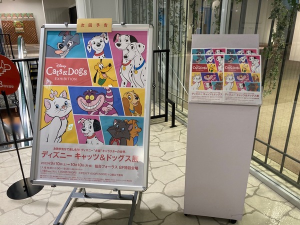 S__184229907