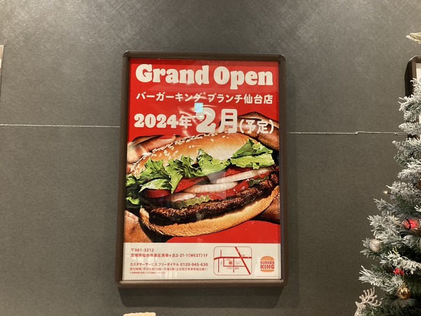 S__234274832