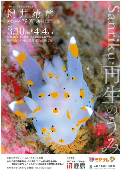 キャプチャ2