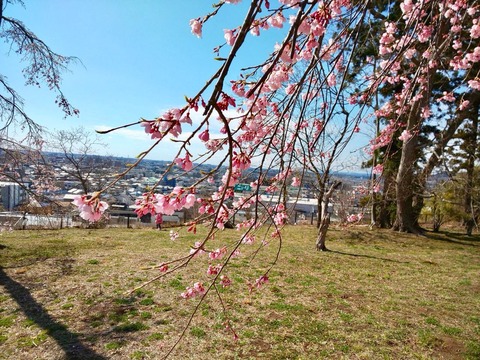 2019-04-10-13-32-54