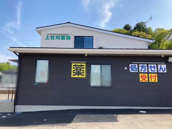 S__206946310
