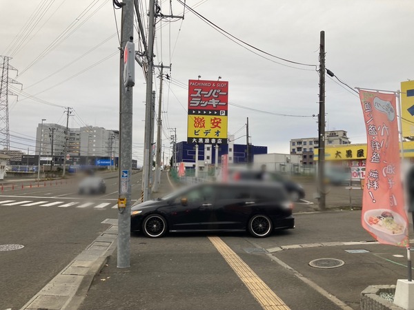 S__231653379