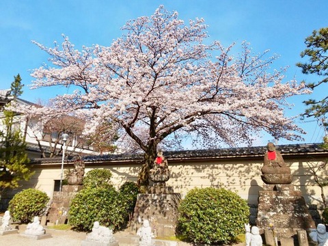 2019-04-10-13-14-44