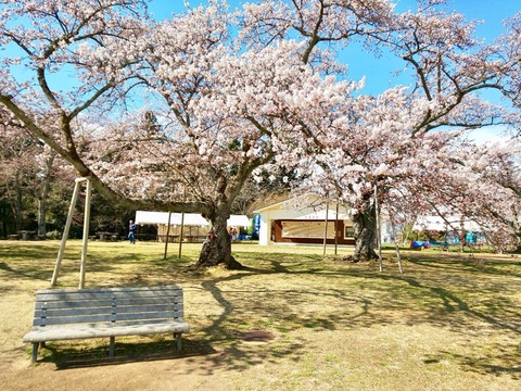 2019-04-10-13-33-06