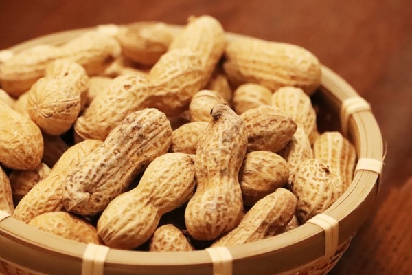 落花生詰め放題