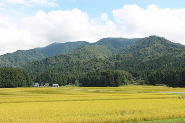 出川哲朗の充電させてもらえませんか?