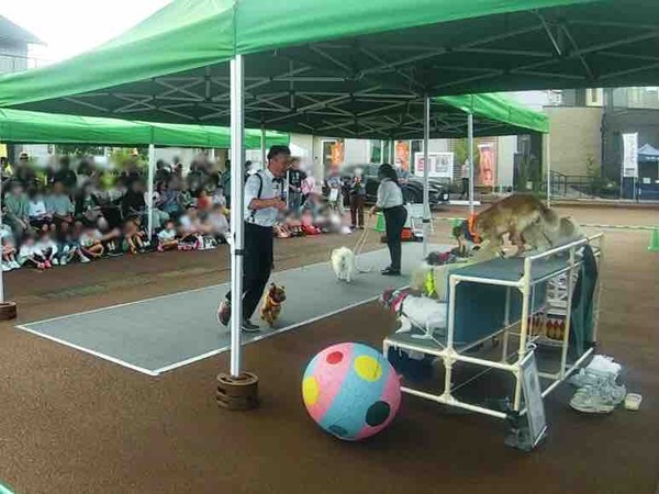 日報+BSN 住まいの広場 新潟南会場