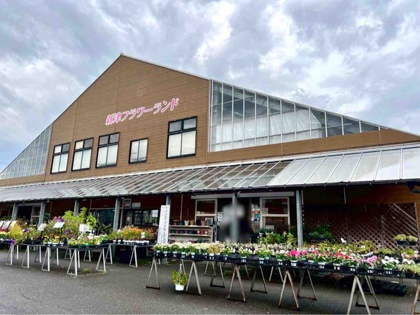 メダカ販売会&メダカすくい