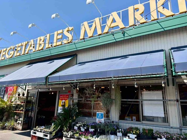 きよみオレンジ詰め放題