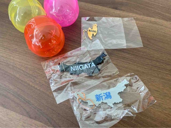 NIIGATA RUBBER CHARM(新潟県ラバーチャーム)
