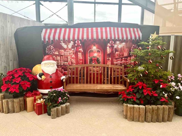新潟県立植物園 クリスマス展